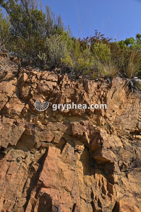 Rhyolite - affleurement (Esterel, France) - gryphea.com